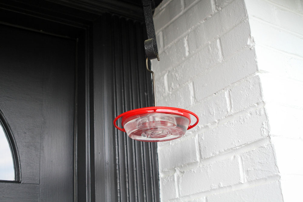 A hummingbird feeder in the Hastings garden.