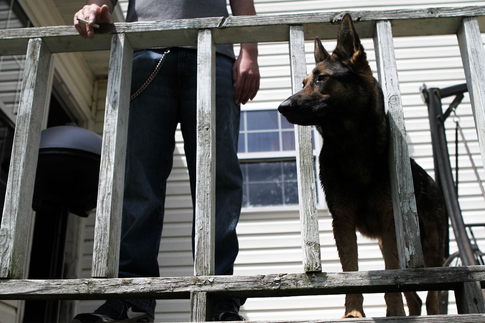 Ryan smokes a cigarette on the back porch of his mother's house, flanked by her dog.